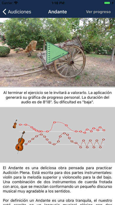 Screenshot #3 pour Entrenamiento Musical Atención