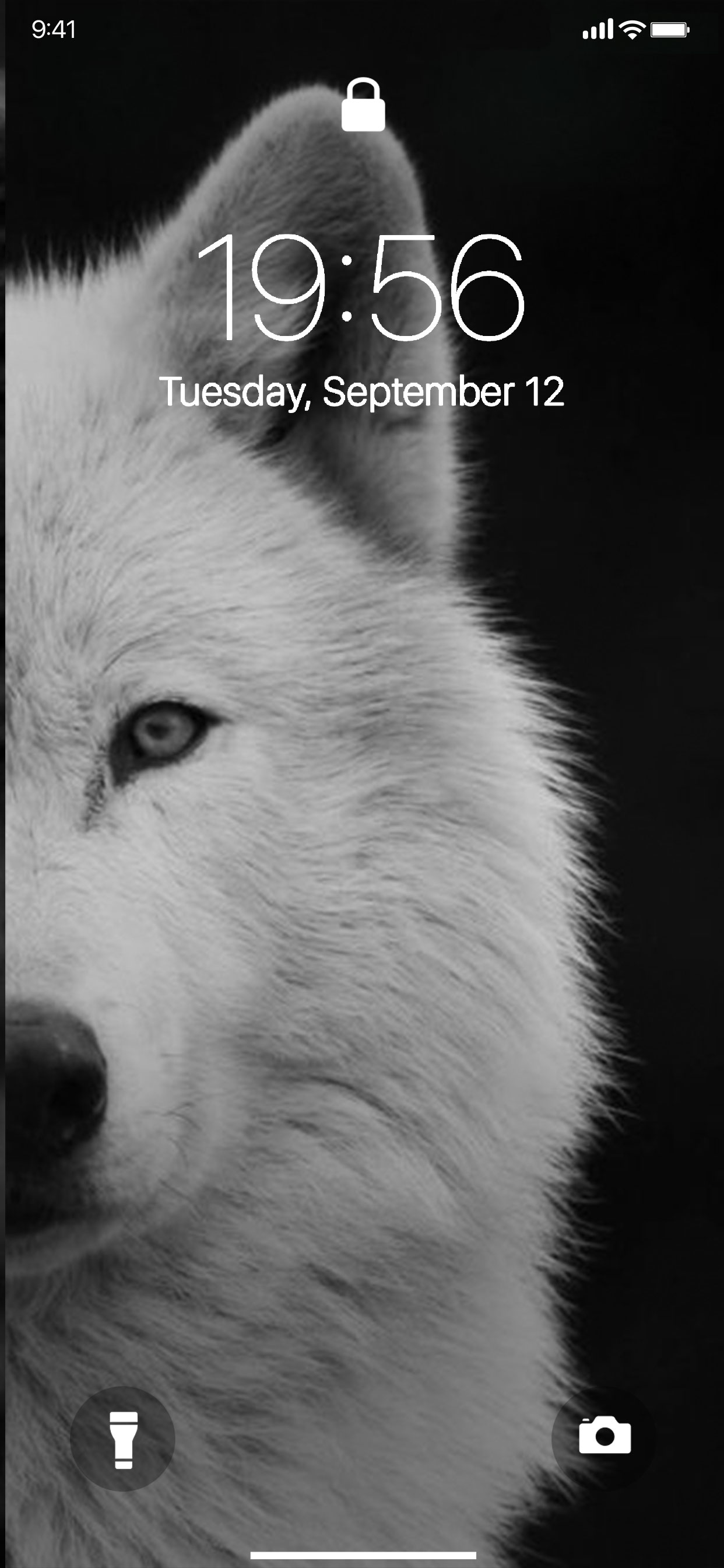 Lone Wolf Wallpapers