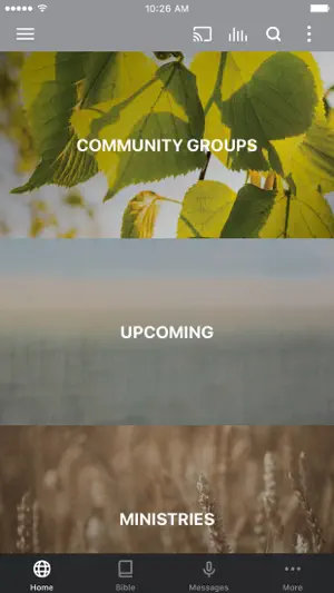 Bayou City Cypress screenshot 1