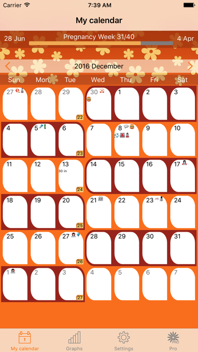 WomanLog Pregnancy Calendar Screenshot