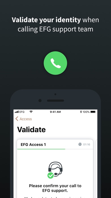 EFG Access Screenshot