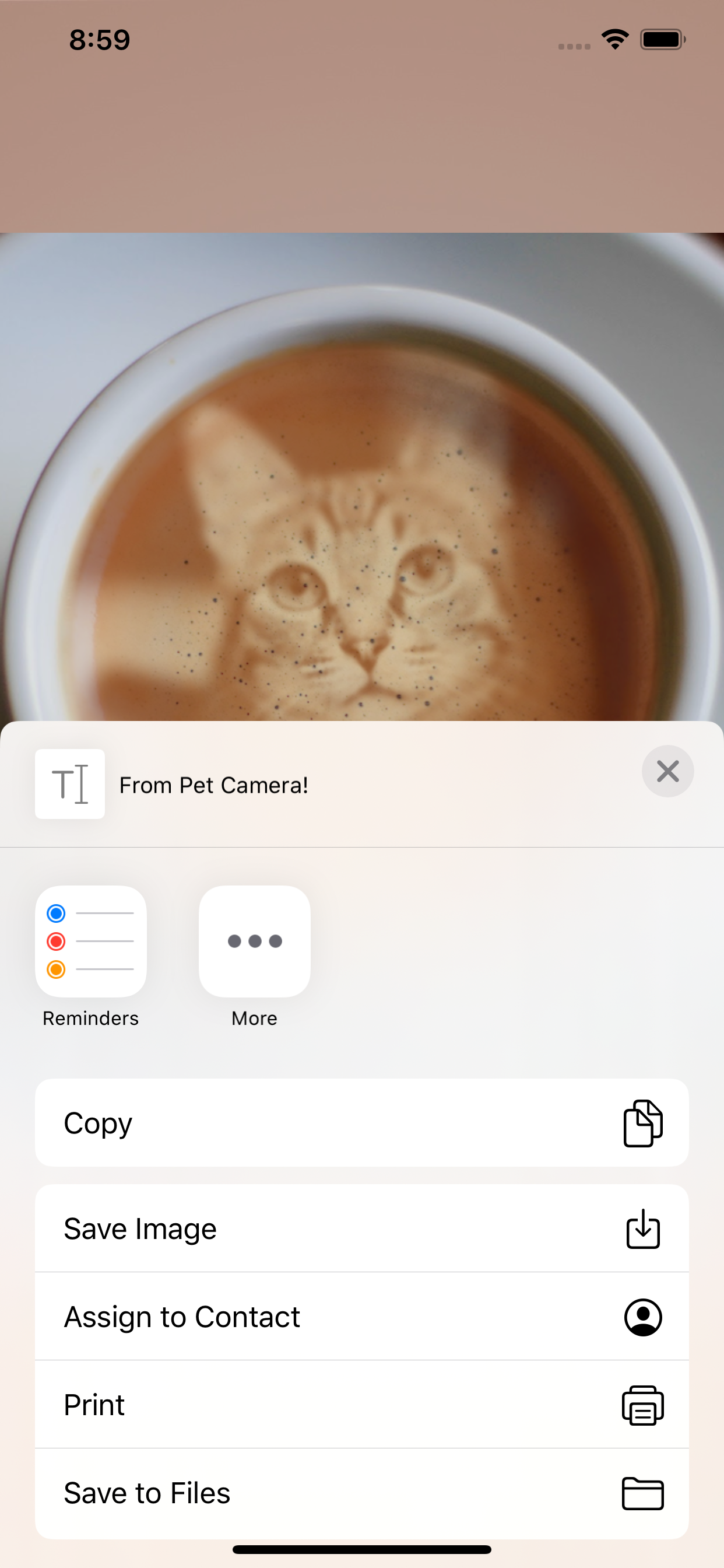Pet Camera: Great Pet Photos