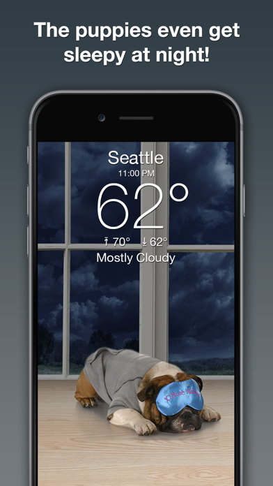 Weather Puppy Forecast + Radar Screenshot