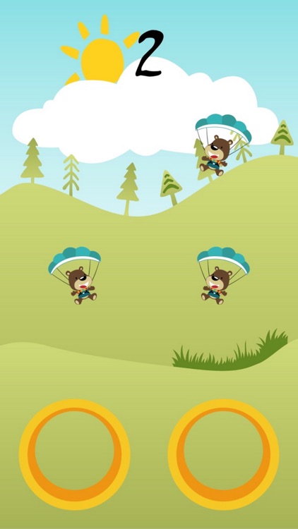 BEAR SKYDIVER