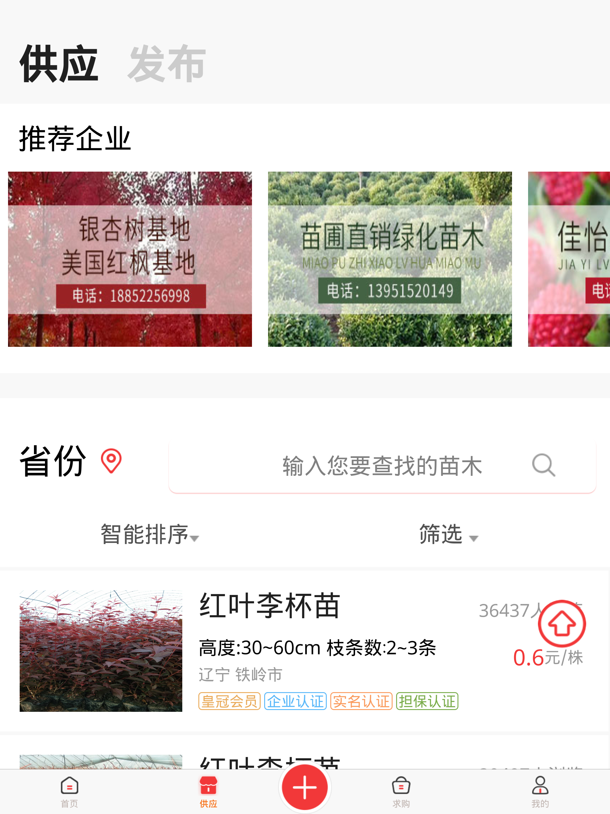 苗木云