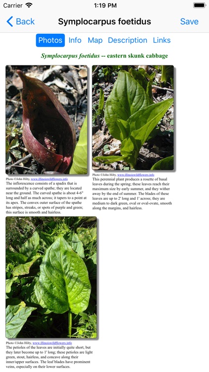 Ontario Wildflowers screenshot-4