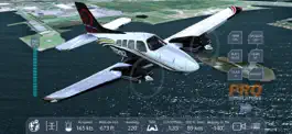 Game screenshot Pro Flight Simulator New York apk