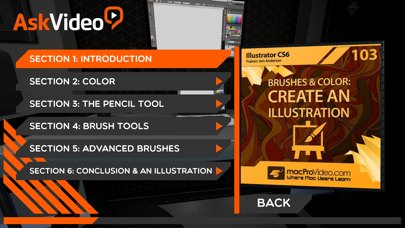 Brushes And Color Course review screenshots