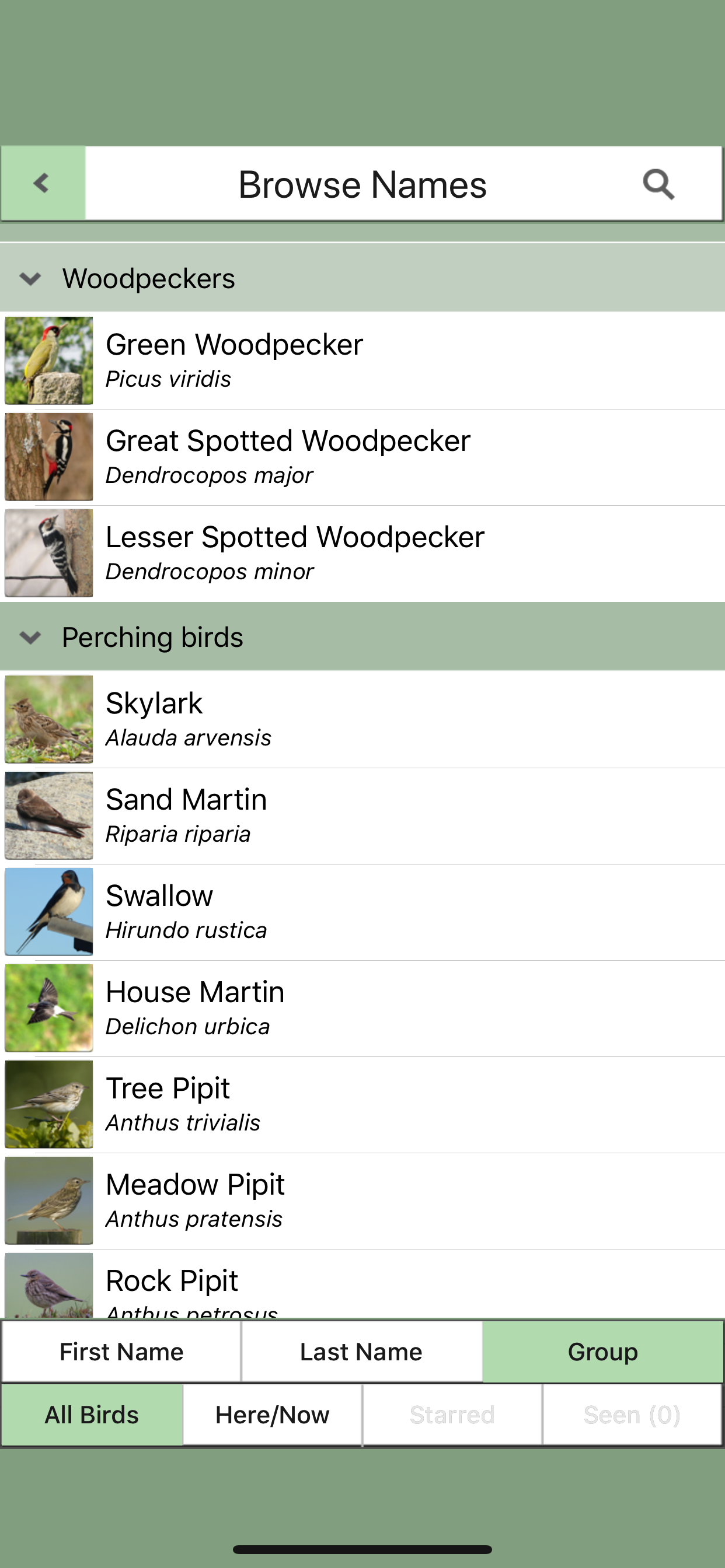 Birds of Britain Pocket Guide