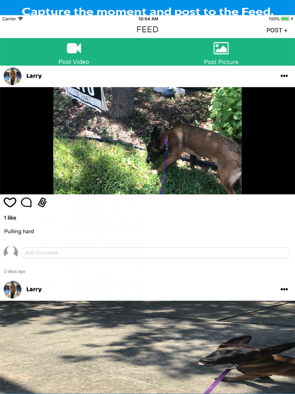 Screenshot #6 pour HappyPupper Dog Walker Tracker