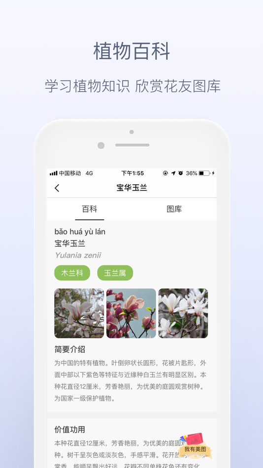 #4. 花伴侣-拍照识花精准植物识别应用 (iOS) 作者: 北京联星时代科技有限公司