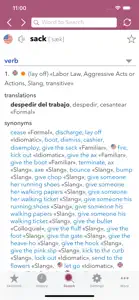 Spanish Slang Dictionary screenshot #4 for iPhone