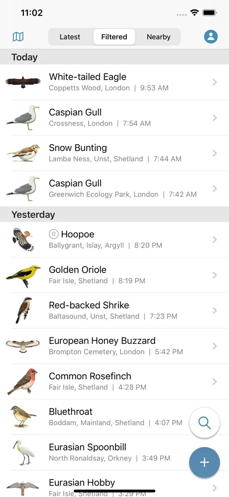 BirdGuides