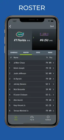 Game screenshot LSU Football Schedules hack