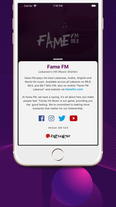 Fame FM Lebanon screenshot 4