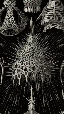 Game screenshot MAU M&L Natural History hack