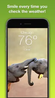 wildlife wallpaper weather iphone screenshot 1