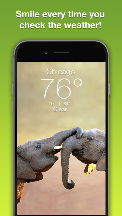 Wildlife Wallpaper Weather Screenshot