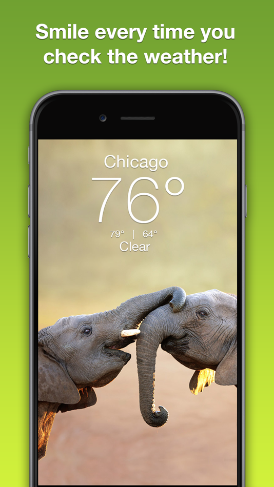 Wildlife Wallpaper Weather - 5.3.2 - (iOS)