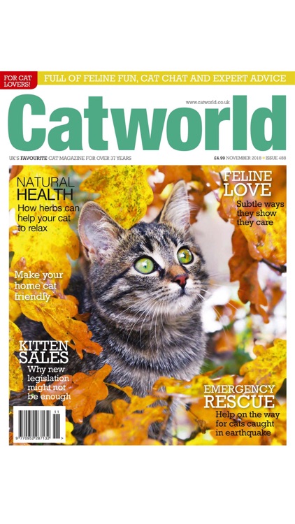 Catworld Magazine screenshot-7