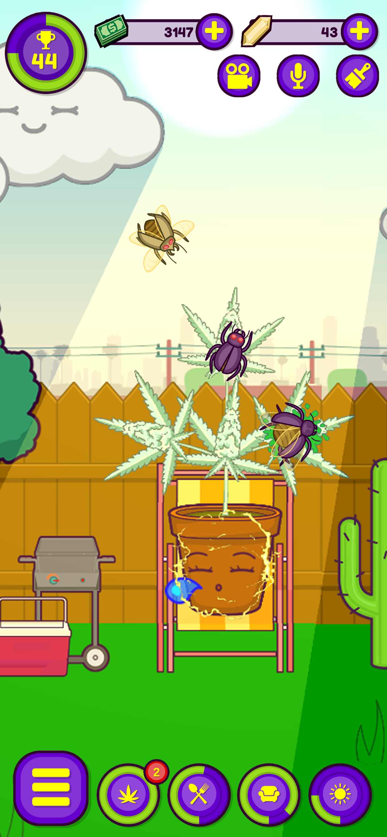 Lil Pothead