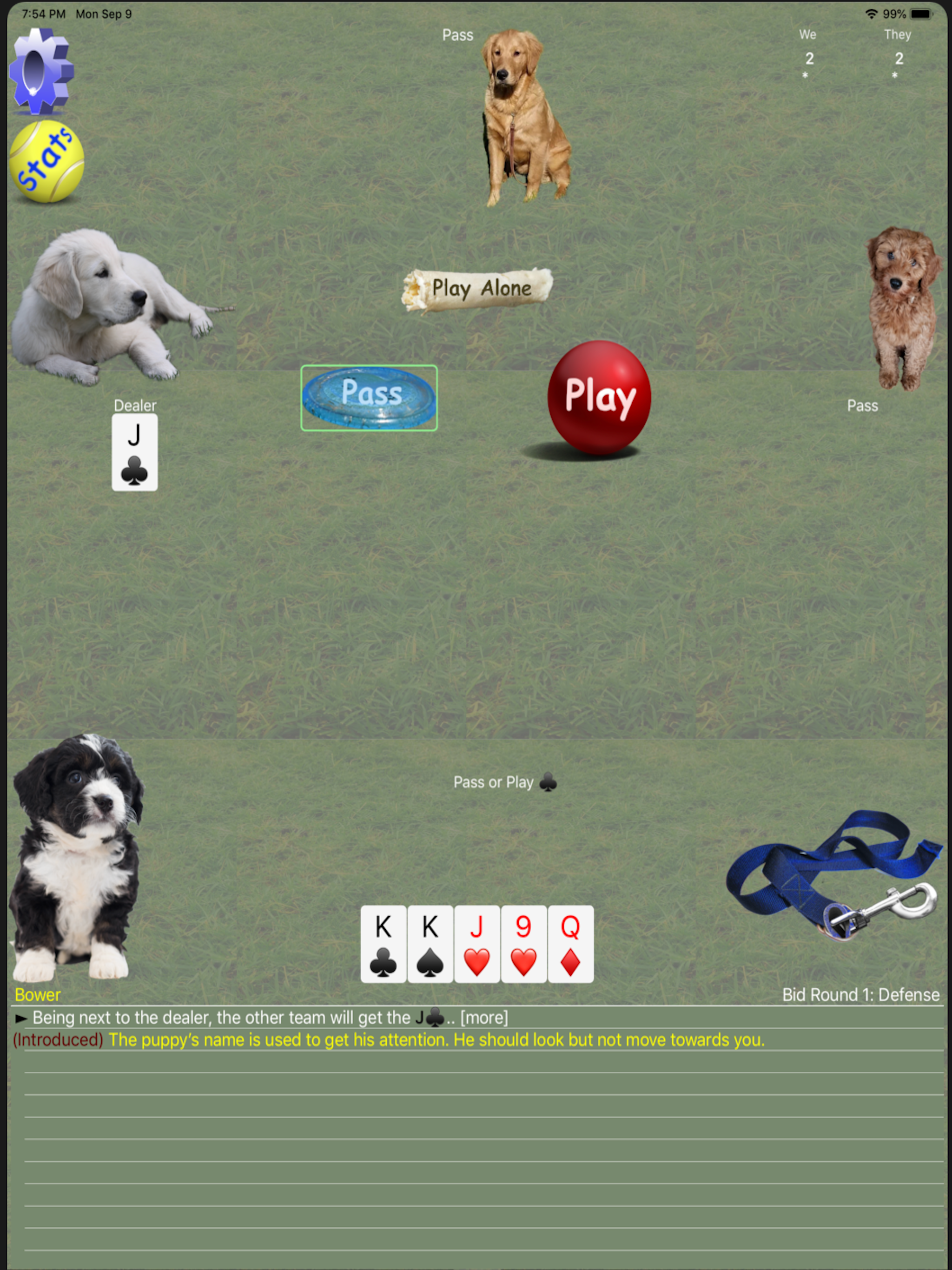 K9 Euchre