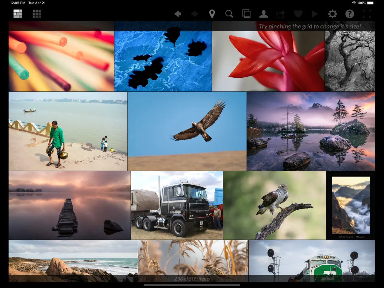 Screenshot #4 pour Galleryr for Flickr