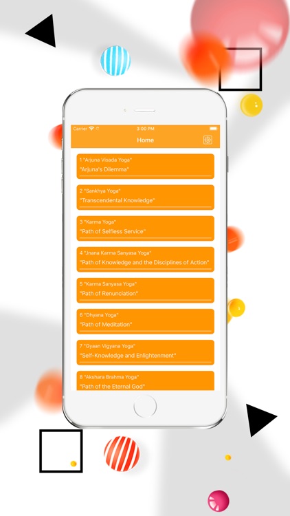 Shrimad Bhagvad Gita screenshot-3