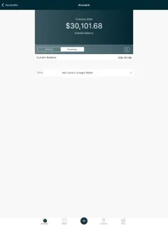 FIS Digital One Consumer iPad image 3
