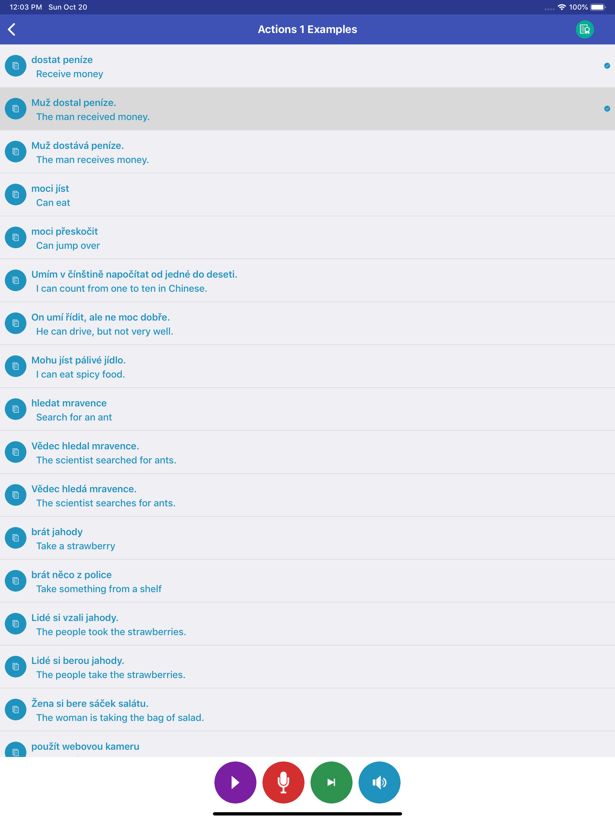 Learn Czech Daily screenshot 14