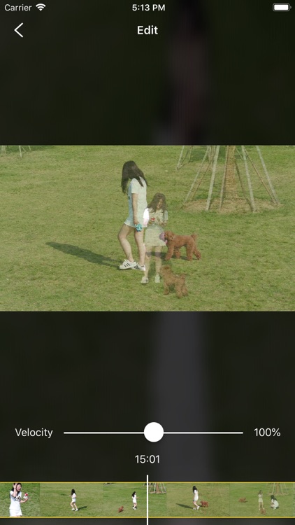 Video FX Art screenshot-8