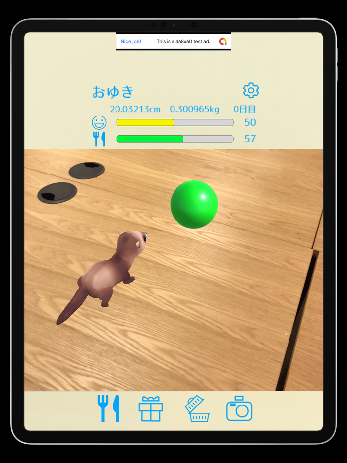 フェレットといっしょ