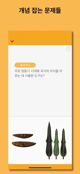 Game screenshot 개념 한국사 LITE hack