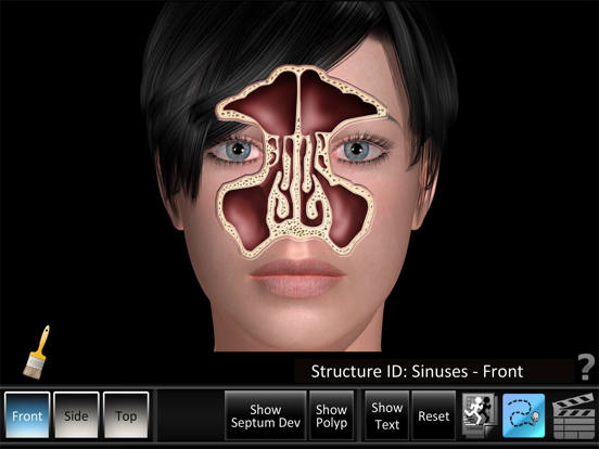 Screenshot #4 pour Sinus ID