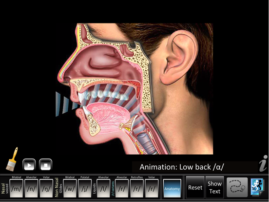 Screenshot #6 pour Semivowels