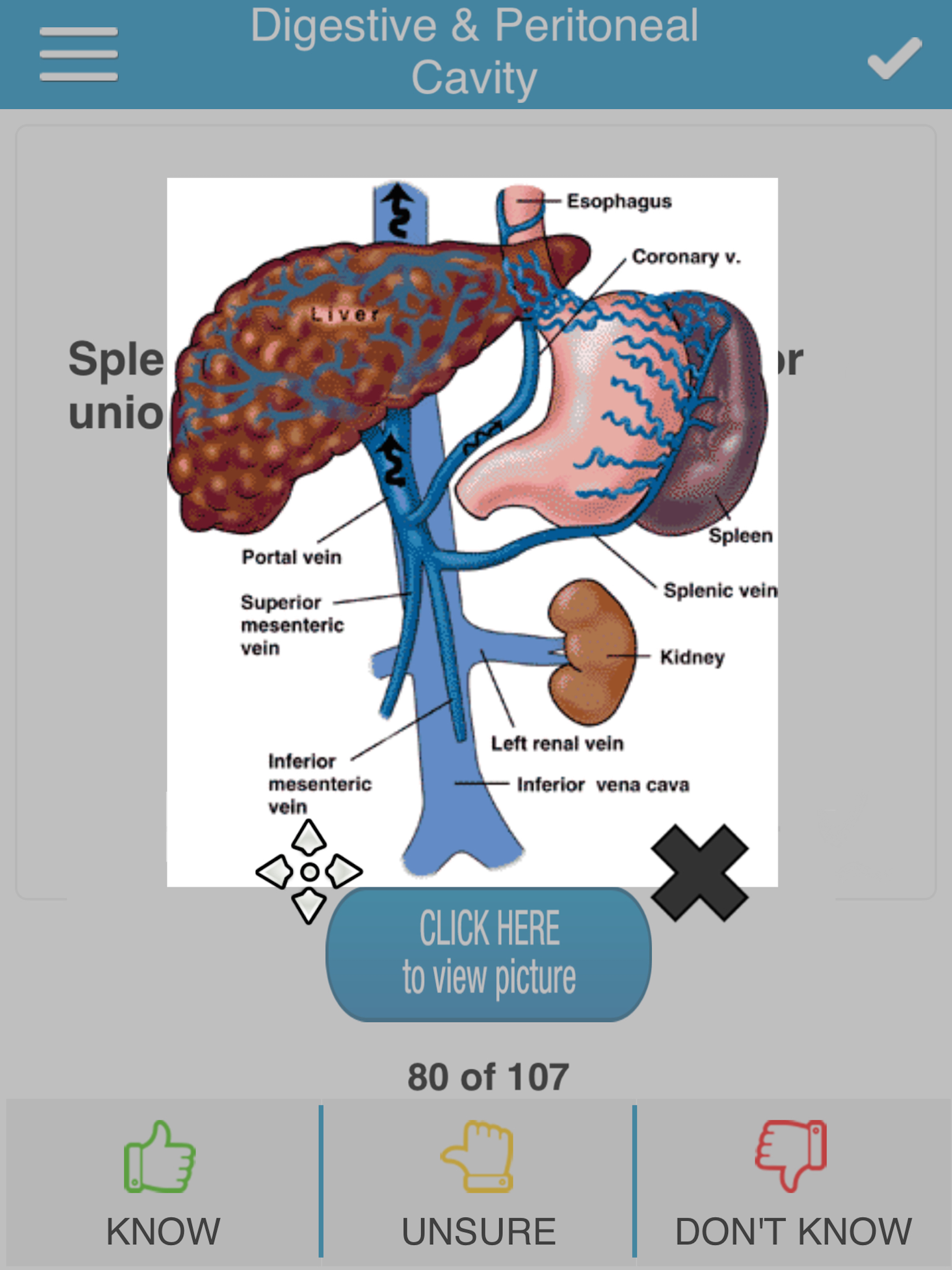 USMLE Anatomy Cram Cards screenshot 10