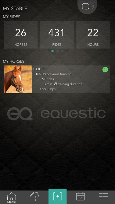 Equestic SaddleClip Screenshot