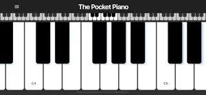 The Pocket Piano screenshot #5 for iPhone