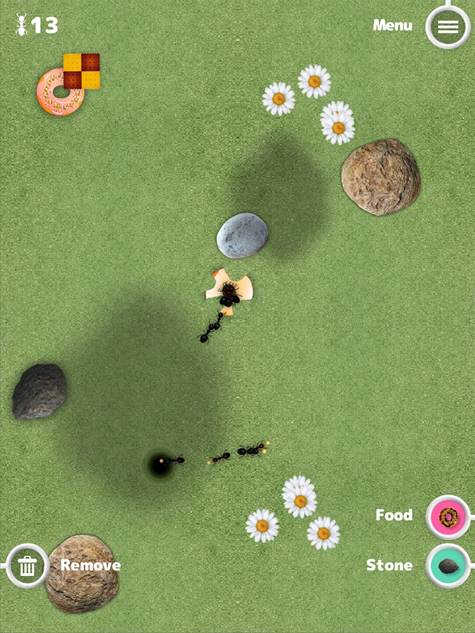 iPad screenshot