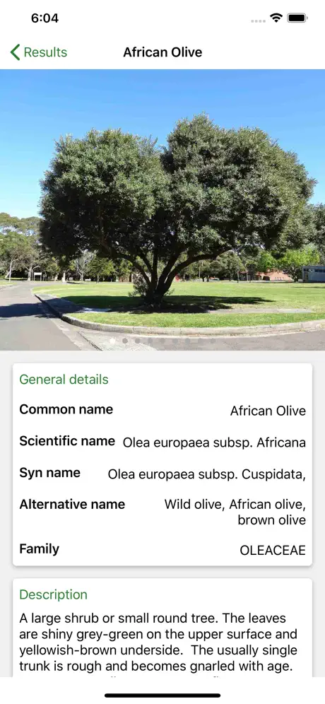 Australian Tree ID