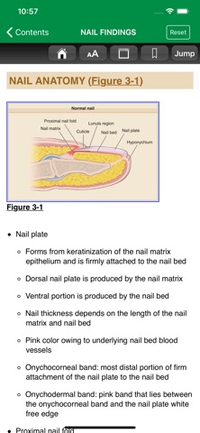 Dermatology A Pict. Review 3/Eのおすすめ画像3