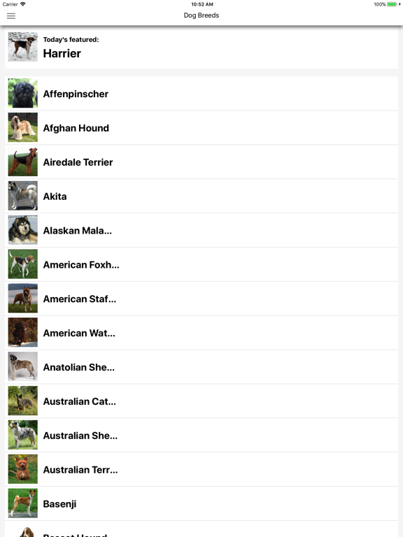 Screenshot #5 pour Dog Breeds HD Wallpapers