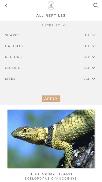 Fieldstone Guide: Reptiles