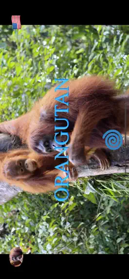 Game screenshot Animal Pad Sounds apk