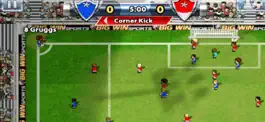 Game screenshot Big Win Soccer: World Football mod apk