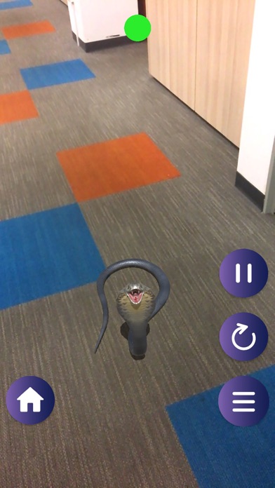 The AUGMent Screenshot