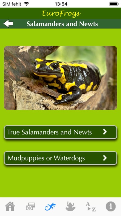 EuroFrogs Screenshot