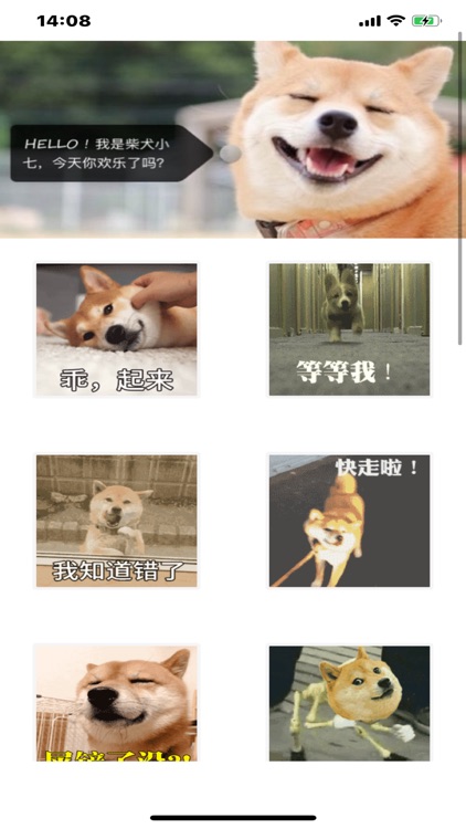 欢乐柴犬