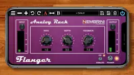 analog rack flanger iphone screenshot 1