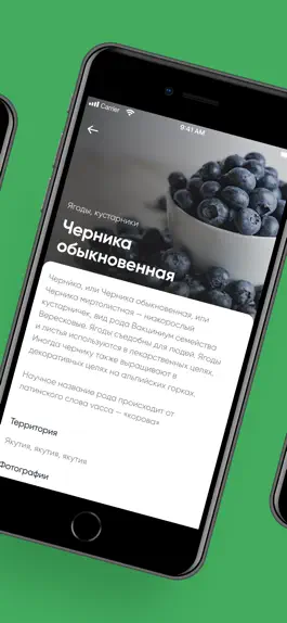 Game screenshot Заповедная Якутия 2.0 apk